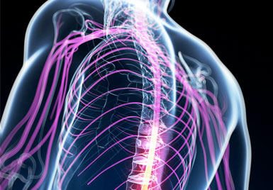 Spinal Cord Stimulator